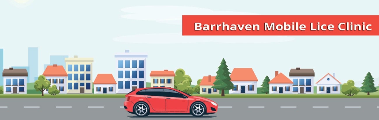 Barrhaven lice treatment mobile clinic