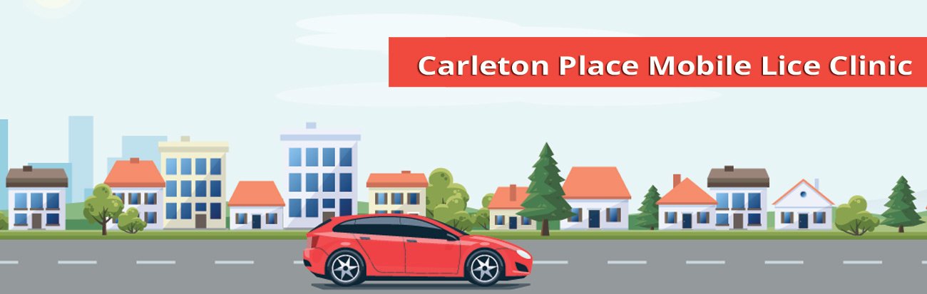 Carleton Place mobile lice treatment clinic