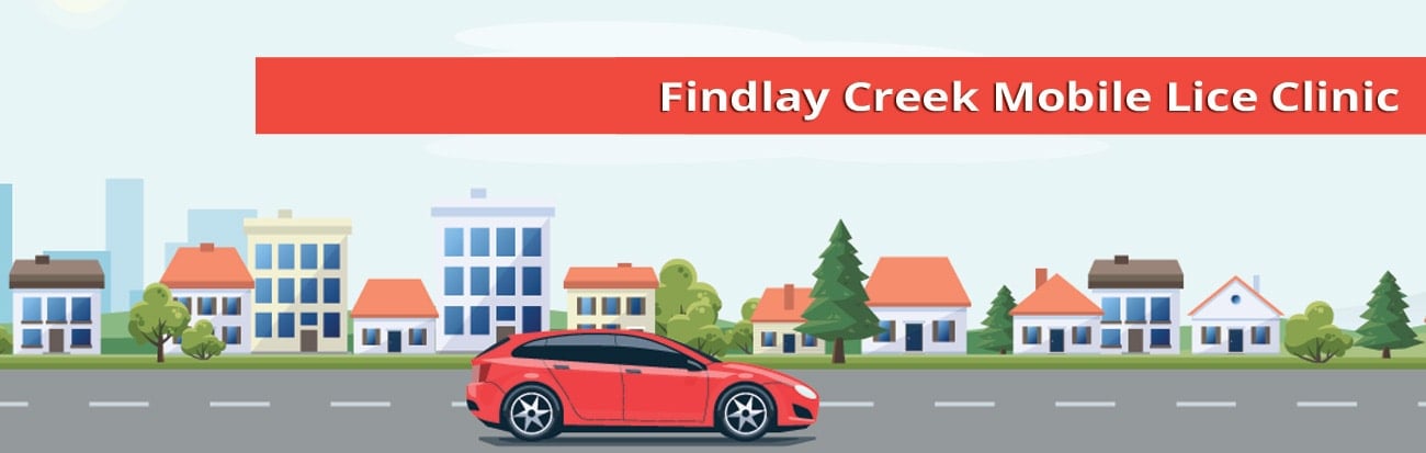 Findlay Creek Lice Treatment mobile services