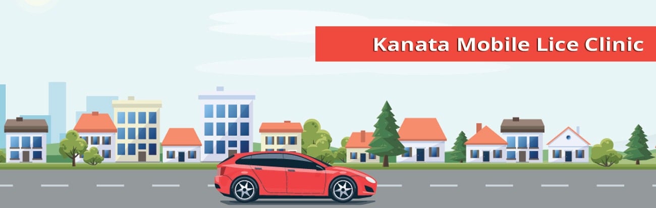 Kanata mobile lice treatment services