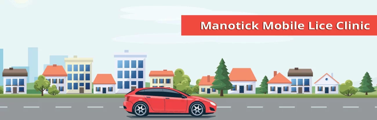 Manotick mobile lice treatment services