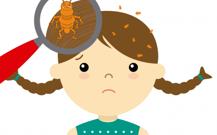 Nits? Nymphs? Louse? Lice? OH MY! What the heck is all of this?