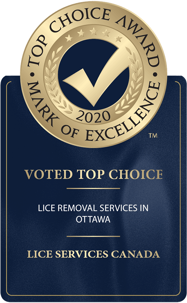 Voted #1 Lice Removal Team in 2020